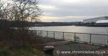A River Tyne walk and remnants of an abandoned past - but what used to be here?