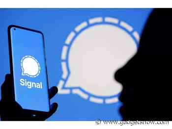 How to take chat backup on Signal