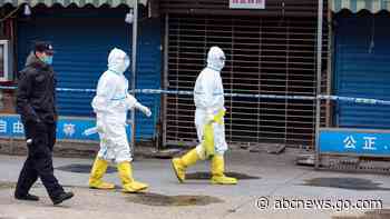 EXPLAINER: What WHO researchers in Wuhan are trying to learn