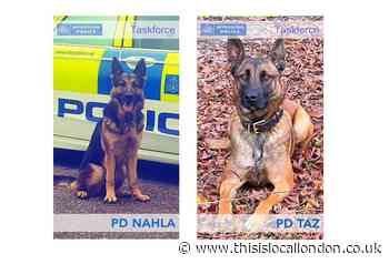 Met police dogs help arrest suspects in Greenwich