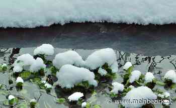 Winterliche Eindrücke von der Buckligen Welt: Snow-Land-Witzelsberg - meinbezirk.at
