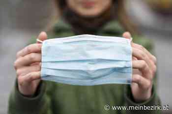 Aufatmen im Bezirk Neunkirchen: Noch kein mutiertes Corona-Virus im Krankenhaus aufgetaucht - Neunkirchen - meinbezirk.at