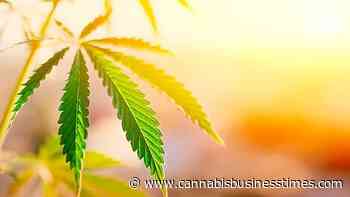 Virginia Governor Unveils Cannabis Legalization Proposal, Mexico Publishes Medical Cannabis Regulations: Week in Review - Cannabis Business Times