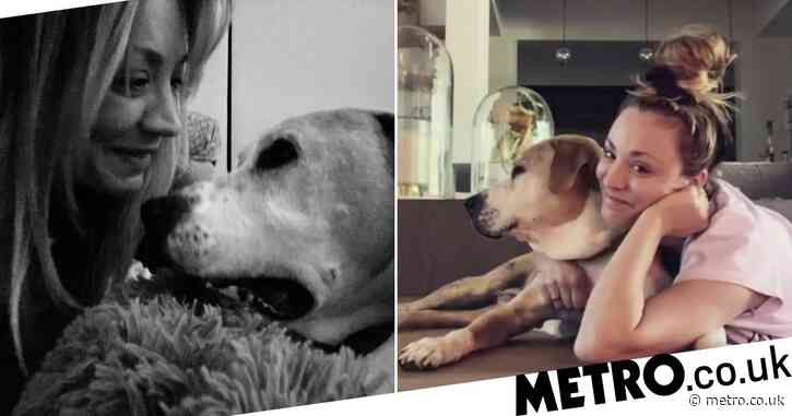 Kaley Cuoco heartbroken as beloved dog Norman dies: ‘Earth shattering pain I didn’t know was possible’