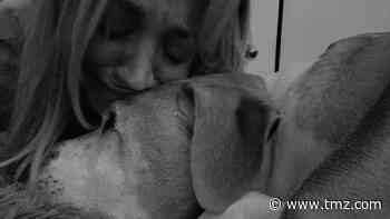 Kaley Cuoco's Dog, Norman, Dies