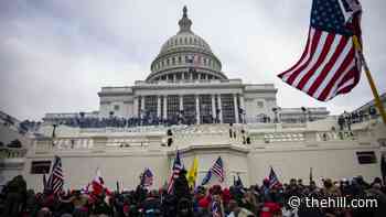House panels open review of Capitol riot