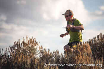 Runner Gives Human Perspective To Mule Deer Migration - Wyoming Public Media