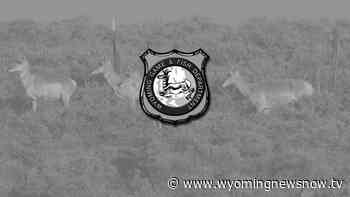 Game and Fish announces members of Wyoming Wildlife Taskforce - wyomingnewsnow.tv