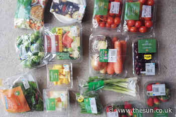 Shopper reveals how she got £15 worth of food in Morrisons for just £3.09 - The Sun