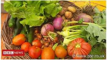 Growing food: Call to give vegetable growers public cash - BBC News