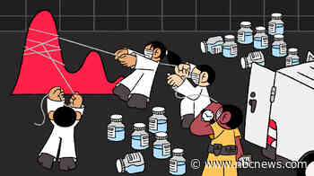 Gaps, contradictions and delays: Powerful tool in pandemic is going wasted