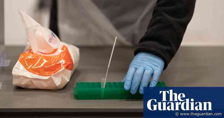 Experts remain divided over merits of mass Covid tests in schools