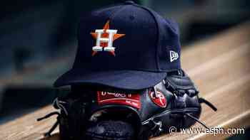 Tri-City ValleyCats suing Major League Baseball, Houston Astros - ESPN