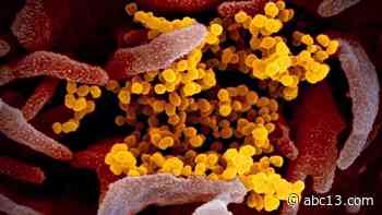CDC issues warning on New COVID-19 variant B117 - KTRK-TV
