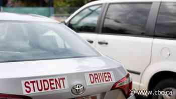 Young drivers 'discouraged' as Ontario hits the brakes on road tests