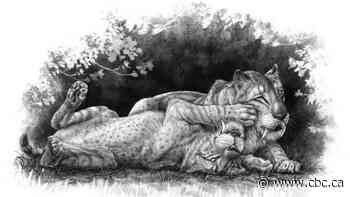 Sabre-toothed tiger cub fossils may reveal family secrets