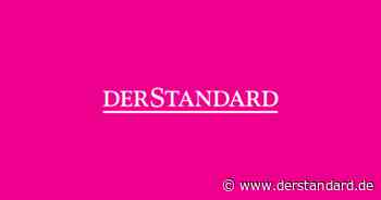 Plagiatsaffäre: Management des Diebstahls - DER STANDARD