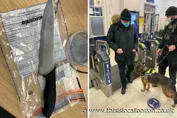 Two arrested after police dogs deployed at Gravesend station