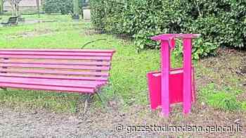 Modena. Libri presi dalle teche e dati alle fiamme Raid seriali diretti a tre parchi della città - La Gazzetta di Modena