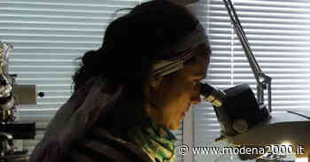 Finanziati 15 progetti di ricerca per oltre 850 mila euro - Modena 2000