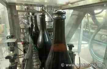 Reggio Emilia e Modena unite nel nuovo Consorzio di Tutela del Lambrusco. VIDEO - Reggionline
