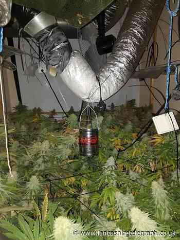 Hyndburn: Police discover cannabis farms in Great Harwood and Accrington
