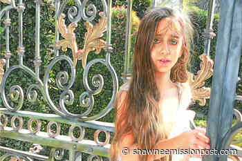 Prairie Village's annual arts competition got 450 submissions this year — here are the winners - Shawnee Mission Post