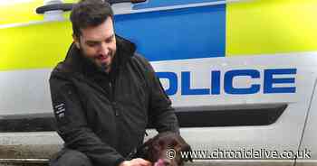 Abandoned puppy deemed 'too boisterous' rescued by police and will fight crime