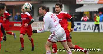 Seiderer wird Trainer bei der SpVgg Lam - Sport aus Cham - Nachrichten - Mittelbayerische
