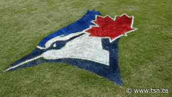 Toronto Blue Jays sign international free agent shortstop Manuel Beltre, 10 others - TSN
