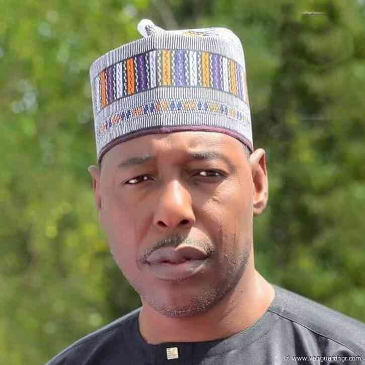 Zulum approves N624m scholarship for Borno tertiary institution students