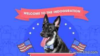 Josh Groban Performs at Joe Biden's Dog's 'Indoguration'