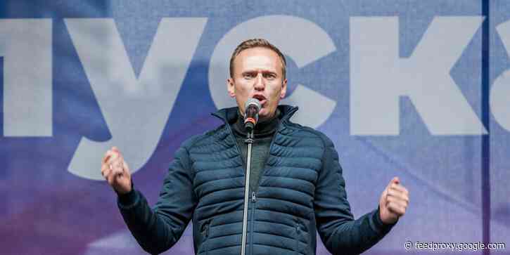Russian opposition leader Alexei Navalny detained upon returning home following poisoning