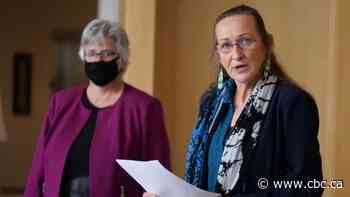 Difficult but necessary steps taken in Fort Liard to contain COVID-19, N.W.T. health minister says