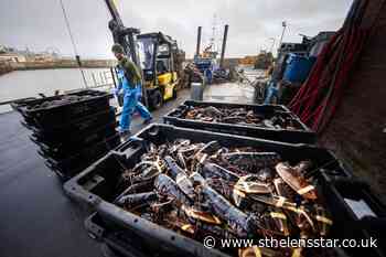 Brexit delays for fishing sector are 'teething problems', Raab says - St Helens Star