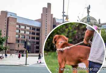 Woman fined for having dangerously out of control dog - St Helens Star
