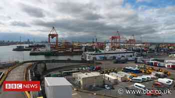 Brexit: Dublin Port 'minefield' leaves trucks stranded