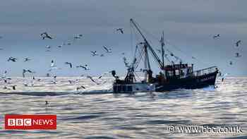 Brexit: Republic of Ireland to lose 15% of fishing quota