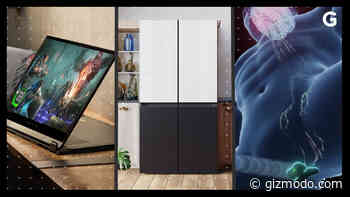 The Best Gadgets of CES 2021, and the Weirdest Ones Too - Gizmodo