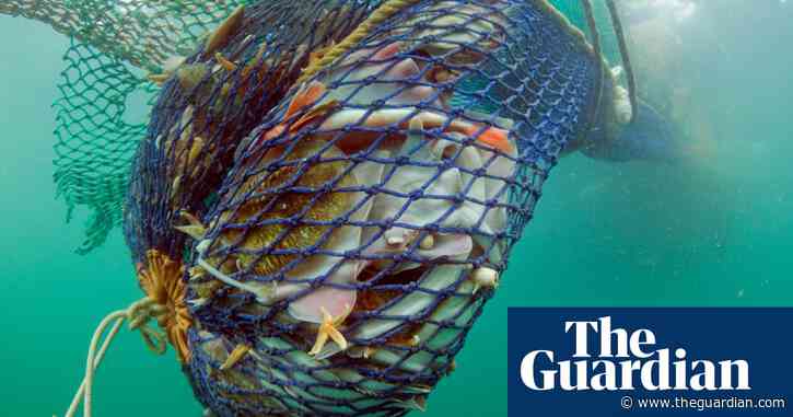 NGOs demand action not promises as EU accused of ‘failing to protect seas’