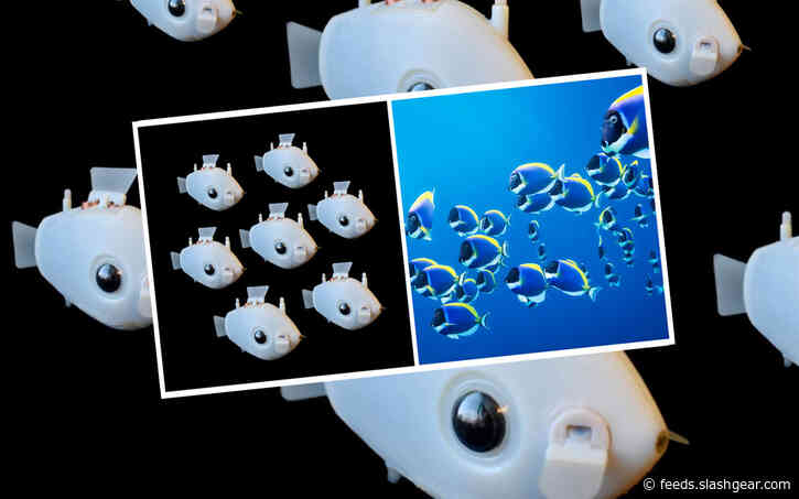 Bluebot robots demo surreal “Blueswarm” like a school of fish