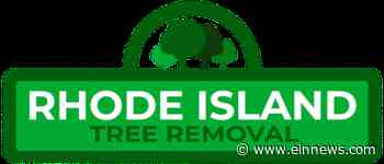 Rhode Island Tree Removal Urges Home & Business Owners to Receive Tree Services in Winter Months - EIN News