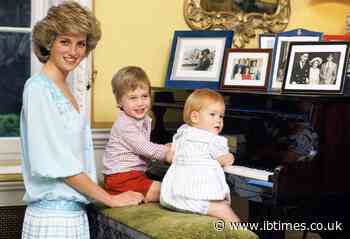 Prince William might intervene if Harry tries to 'take ownership of Diana's legacy'