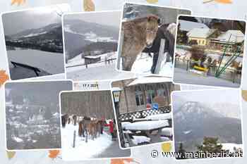 Raxgebiet: Sonntagsspaziergang in Payerbach - Neunkirchen - meinbezirk.at