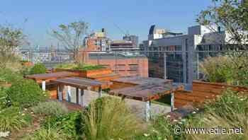 Orchard Street targets net-zero across £4bn portfolio of buildings