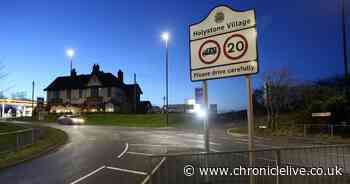 Alleged hit-and-run victim discharged from hospital as probe continues