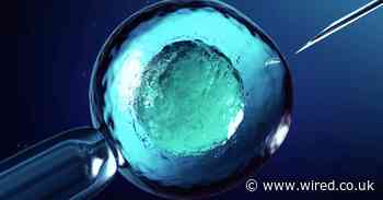 The future of fertility