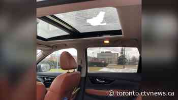 Driver 'lucky to be alive' after vehicle hit by object allegedly thrown from Ontario highway overpass