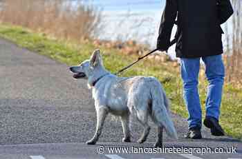 Dog walking in lockdown - the latest rules explained