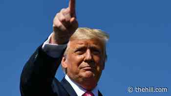 Trump preparing another 100 pardons, commutations before leaving office: reports